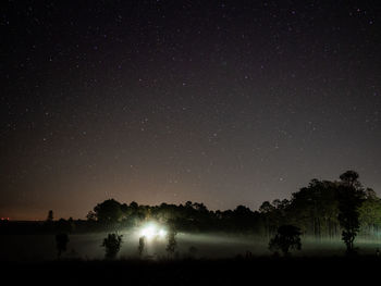 Silhouette trees against sky at night