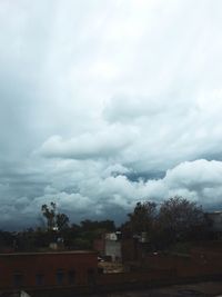 Trees against cloudy sky
