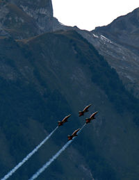 Flock of birds flying over mountain against sky