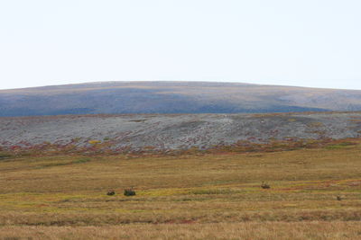 Scenic view of landscape against clear sky