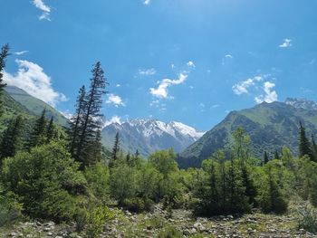 Scenic view of green landscape and mountains against sky