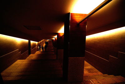 Man with dog in illuminated room