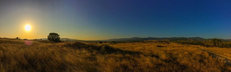 Scenic view of field against clear blue sky