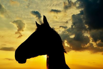 Silhouette of horse against sky at sunset