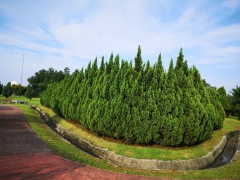 Panoramic view of garden