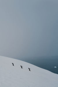 Snow covered landscape against clear sky