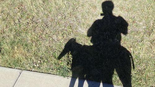 High angle view of shadow on the ground