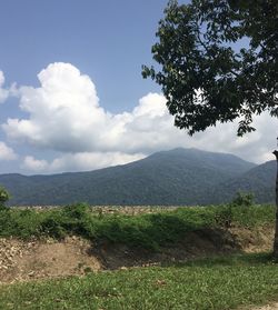 Scenic view of landscape against sky