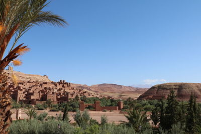 Palm trees on landscape against clear blue sky