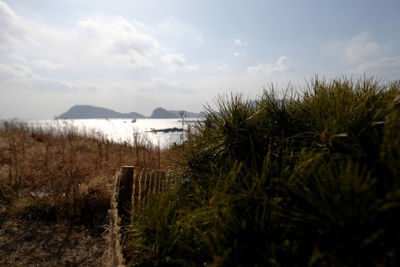 Scenic view of sea against sky