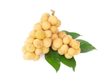 Close-up of fruits and leaves on white background