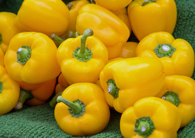 Close-up of yellow tomatoes