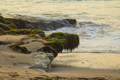 Scenic view of rocky beach