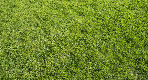 Full frame shot of soccer field