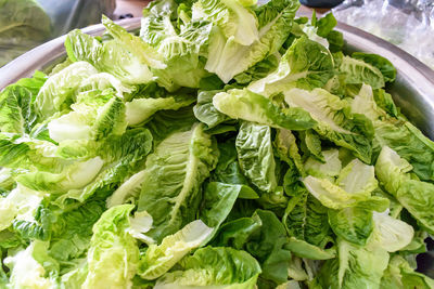 Close-up of chopped vegetables leaves
