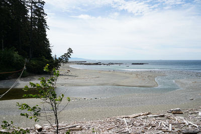 Scenic view of beach against sky