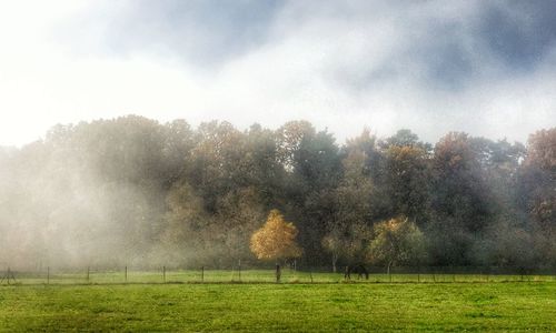 Scenic view of grassy field against cloudy sky