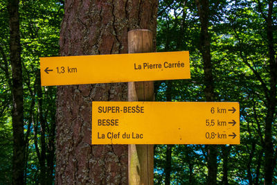 Information sign by tree trunk in forest