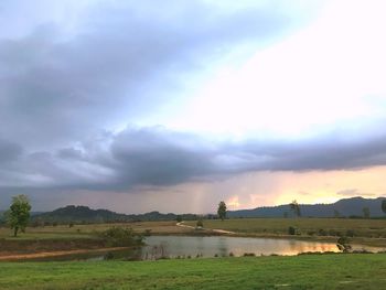 Scenic view of agricultural field against sky