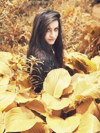 Portrait of a young woman in sunlight