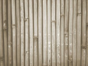 Full frame shot of bamboo on fence