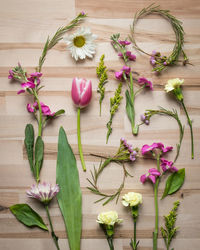 High angle view of flowers on table