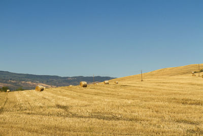 Hay bales on field against clear blue sky