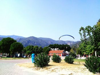 View of trees against clear blue sky