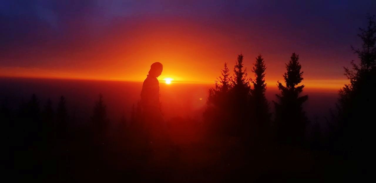 silhouette, sunset, sky, beauty in nature, orange color, nature, land, scenics - nature, tranquility, sunlight, sun, one person, standing, tranquil scene, idyllic, tree, non-urban scene, plant, solitude