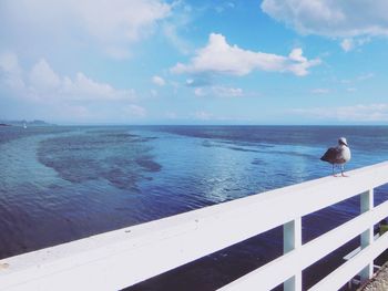 Seagull perching on railing over sea against sky