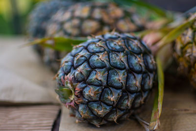 Close-up of fruit