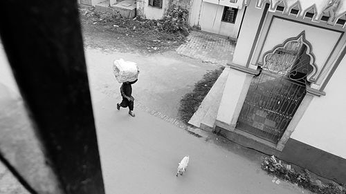 High angle view of man cycling in city