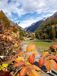 Scenic view of mountains against sky during autumn