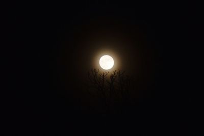 Low angle view of silhouette moon against sky at night