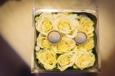 Close-up of yellow roses