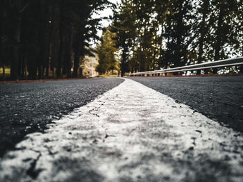 Surface level of road by trees