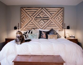 Cat relaxing on bed at home