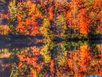 Scenic view of lake during autumn