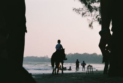 Rear view of boy horse riding on beach against clear sky