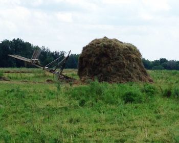 Scenic view of grassy field against sky