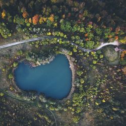 Drone view of ponds amidst trees at forest