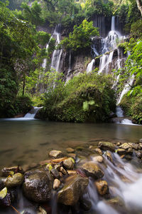 Stream flowing through rocks in forest