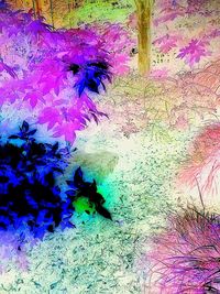 Autumn leaves on tree trunk