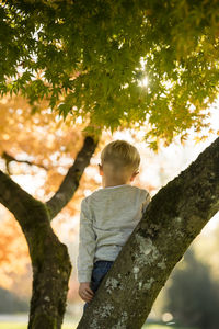 Rear view of boy standing on tree trunk