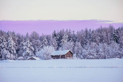 Scenic view of snow covered land and trees against sky