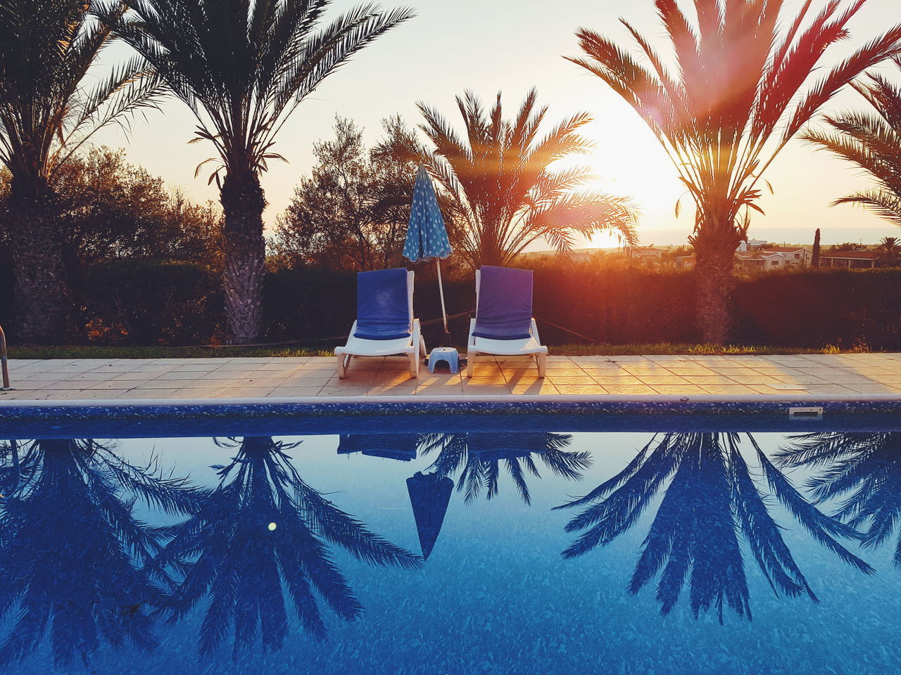 REFLECTION OF PALM TREES IN SWIMMING POOL AGAINST SKY