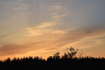 Silhouette trees against sky during sunset