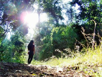 Rear view of woman walking in forest on sunny day