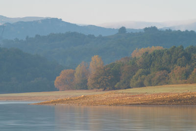 Scenic view of lake by trees against sky