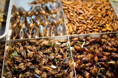 Close-up of food for sale at market